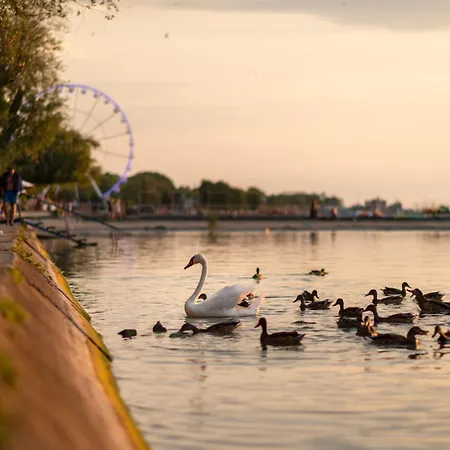 Elefteria Διαμέρισμα Σίοφοκ